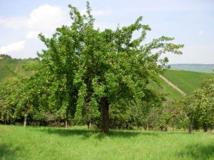 Aktuell