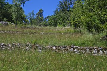 Von Trockenmauern durchzogen steigt der ehemalige Weinberg steil bergan. Dazwischen befinden sich ökologisch wertvolle Magerwiesen. Am Horizont sind Großsträucher und Bäume zu sehen.